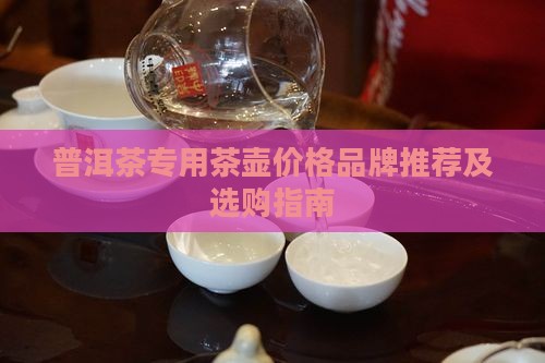普洱茶专用茶壶