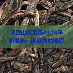 清凉山普洱茶0319辛卯