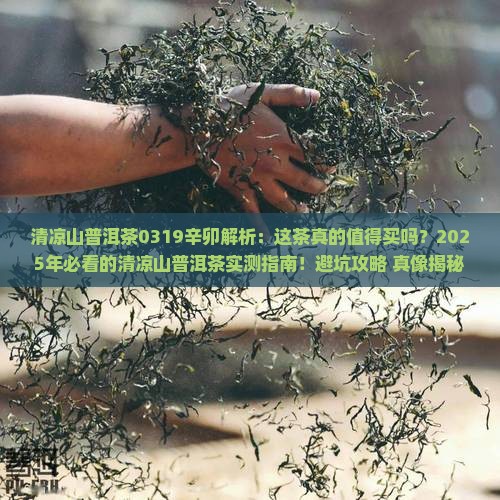 清凉山普洱茶0319辛卯