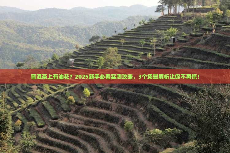 普洱茶上面有油花正常吗