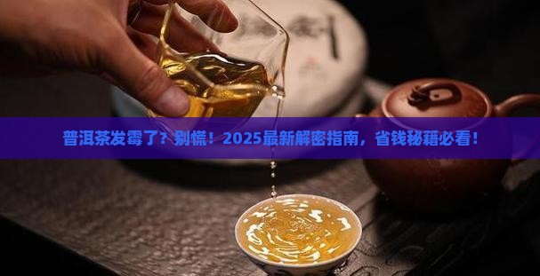 普洱茶发霉怎么保存