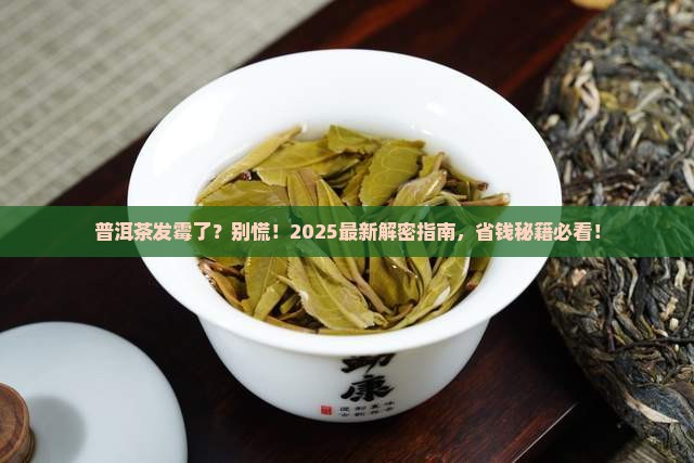 普洱茶发霉怎么保存