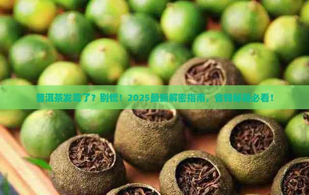 普洱茶发霉怎么保存