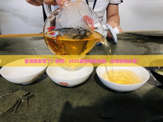 普洱茶发霉怎么保存