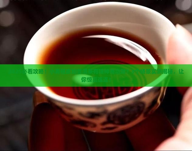 小青柑皮加普洱茶的功效