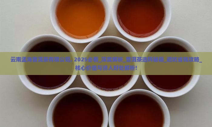 云南孟海普洱茶有限公司