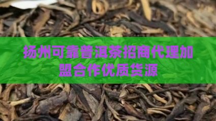 扬州可靠普洱茶招商代理