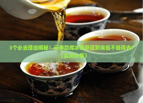 云南勐库冰岛茶区