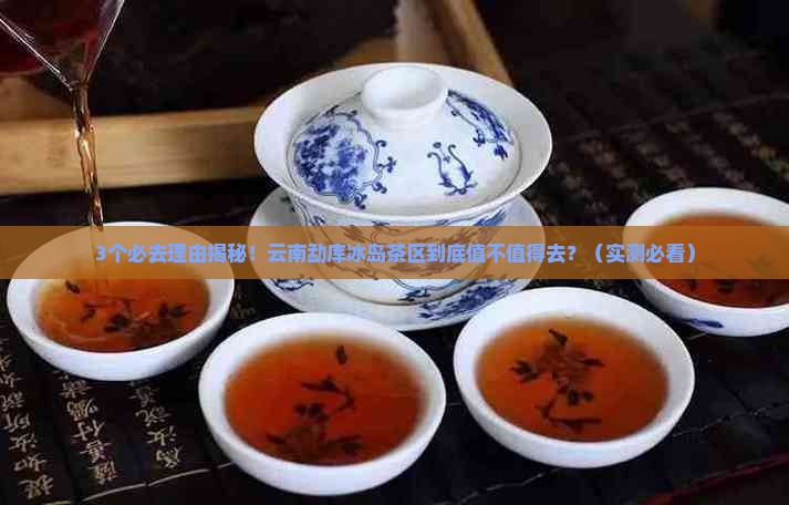 云南勐库冰岛茶区