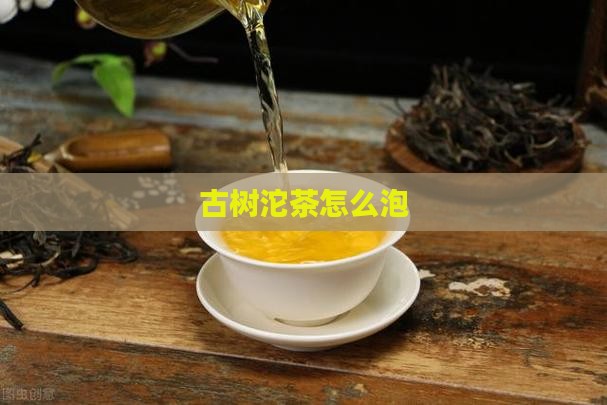 古树沱茶怎么泡