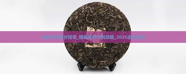 古树普洱茶分班章 古树普洱茶分班章