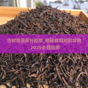 古树普洱茶分班章 古树普洱茶分班章