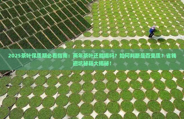 请问两年的茶叶还能喝吗