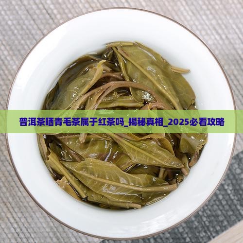 普洱茶晒青毛茶属于红茶吗 普洱茶晒青毛茶属于红茶吗