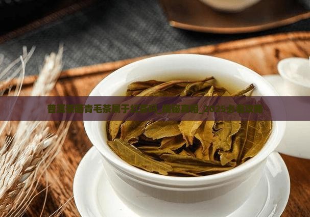 普洱茶晒青毛茶属于红茶吗 普洱茶晒青毛茶属于红茶吗
