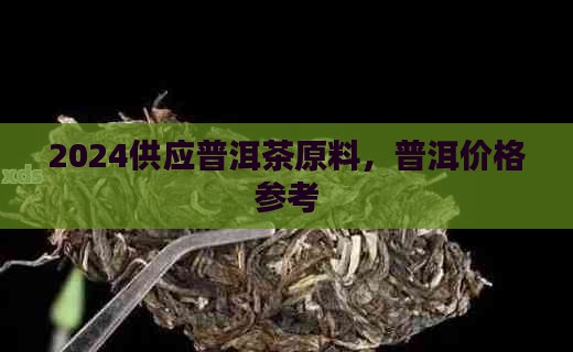 2024供应原料普洱茶