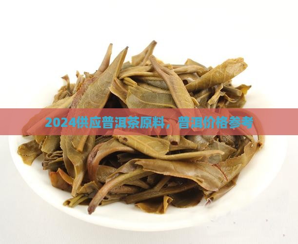 2024供应原料普洱茶