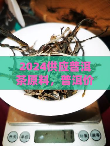 2024供应原料普洱茶