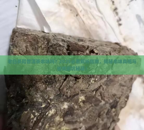 老白茶和普洱茶串味吗