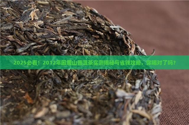2012年困鹿山普洱茶