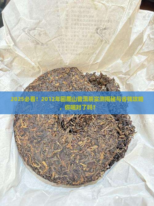 2012年困鹿山普洱茶