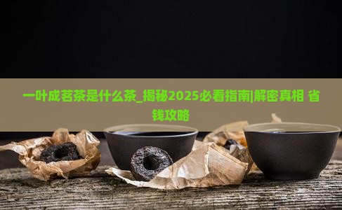 一叶成茗茶是什么茶