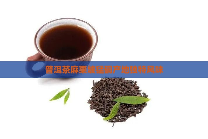 文山猛硐普洱茶