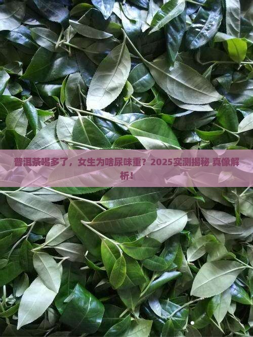 喝普洱茶小便很臭吗女性