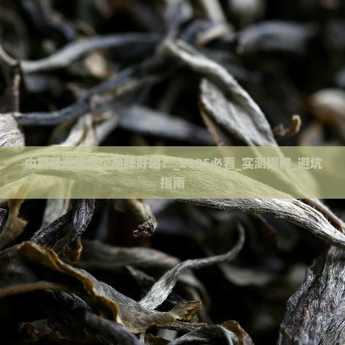 中期普洱茶哪个品牌好喝