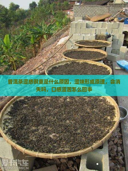 普洱茶涩感很重