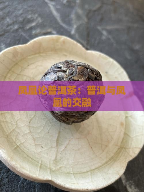 凤凰台谈普洱茶