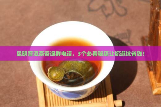 昆明普洱茶咨询群电话