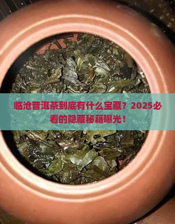 临沧有什么有名的普洱茶