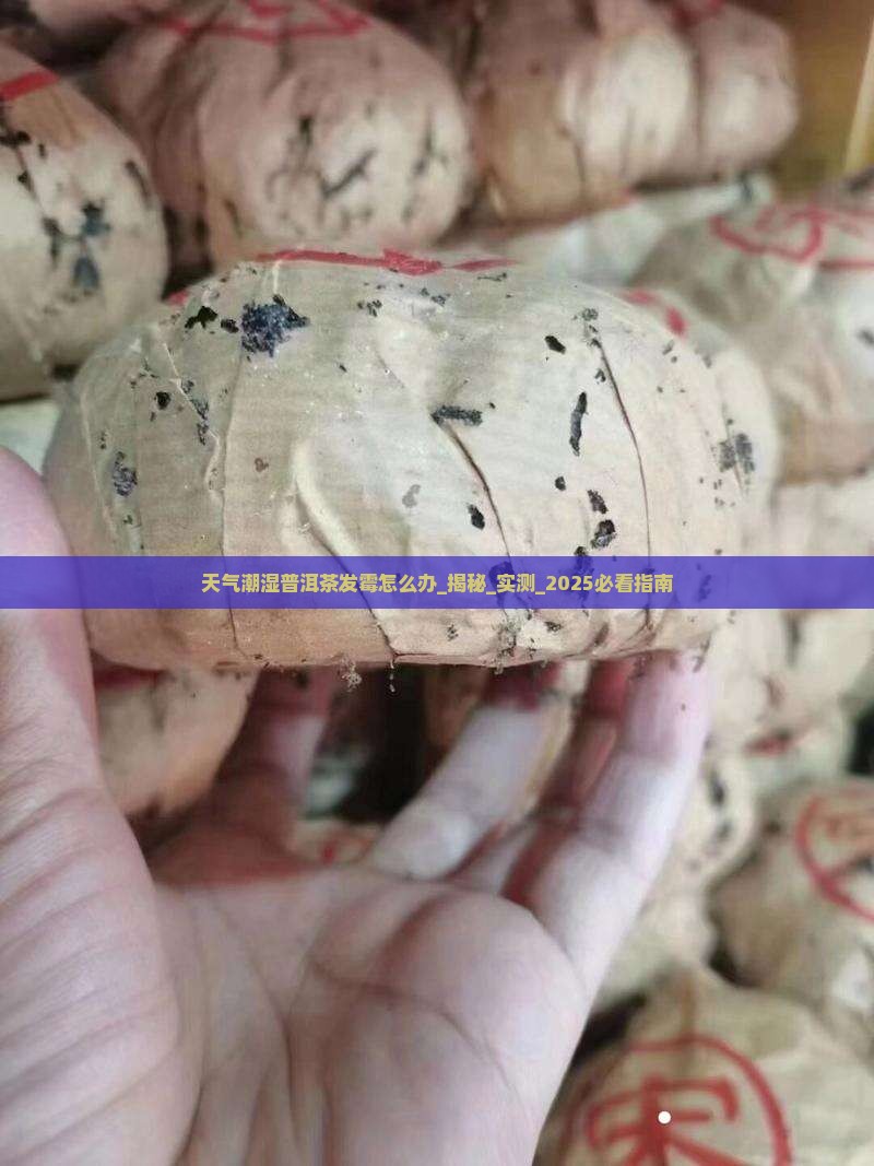 天气潮湿普洱茶发霉怎么办