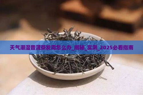 天气潮湿普洱茶发霉怎么办