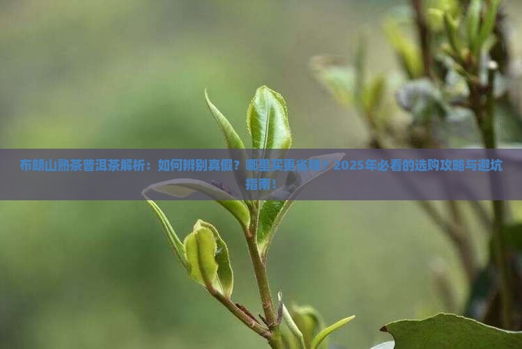 布朗山熟茶普洱茶