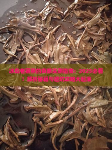 冰岛老寨的茶怎么样