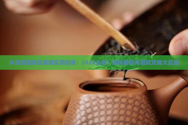 冰岛老寨的茶怎么样