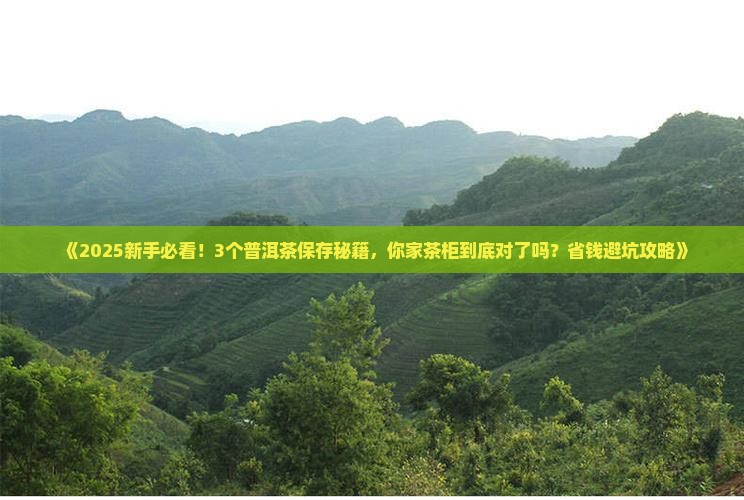 普洱茶保存环境