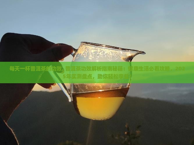 每天一杯普洱茶的功效