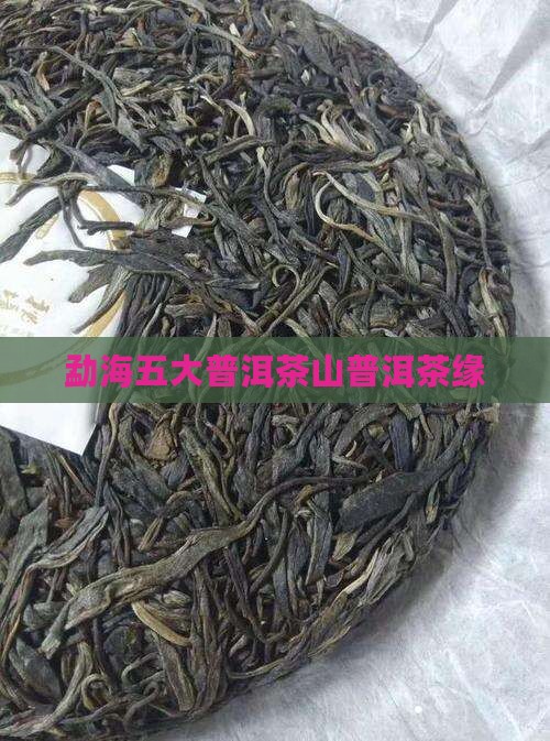 勐海裕福茶厂五大茶山