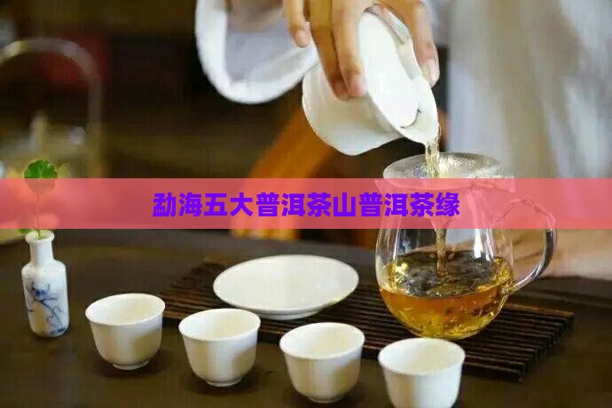 勐海裕福茶厂五大茶山