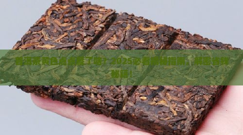 普洱茶黄色的点