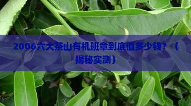 2006六大茶山有机班章价格