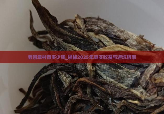 老班章村有多少钱 老班章村有多少钱