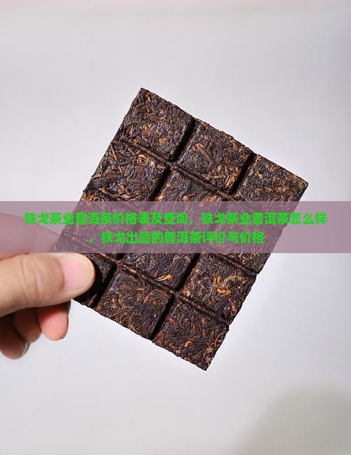 铁戈茶业普洱茶