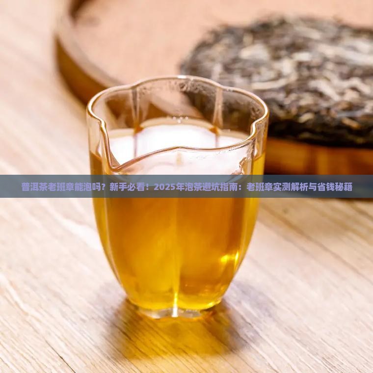 普洱茶老班章能泡吗
