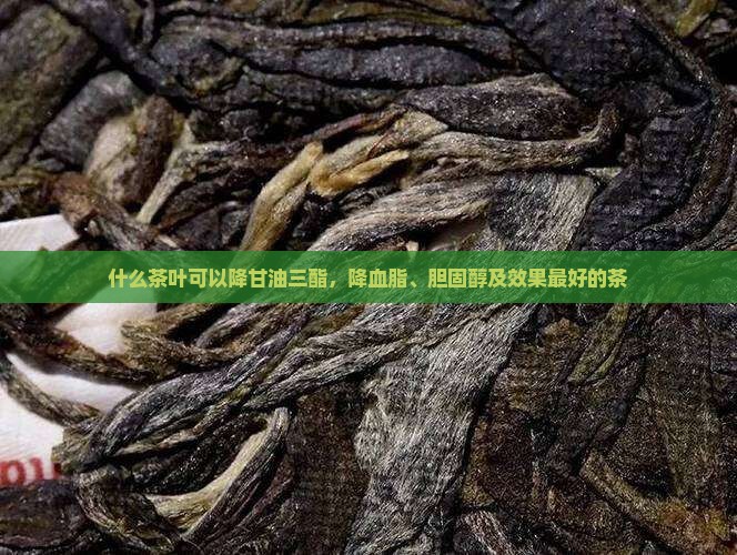 什么茶叶可以降甘油三酯