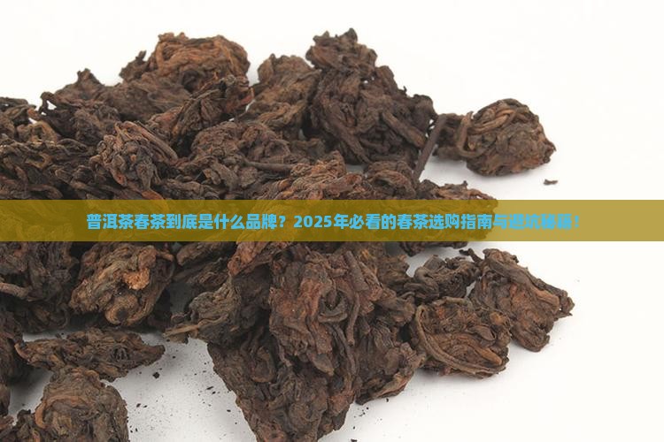 普洱茶春茶是什么品牌