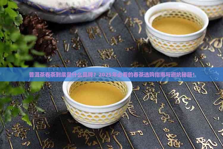 普洱茶春茶是什么品牌
